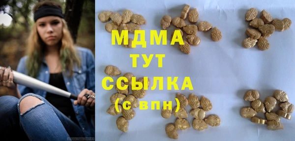 крисы Мегион