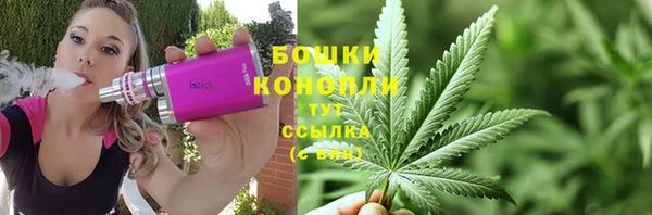 сатива Медногорск