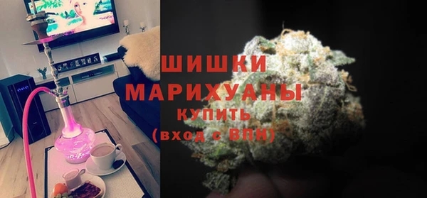 сатива Медногорск