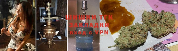 крисы Мегион