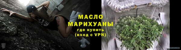 крисы Мегион
