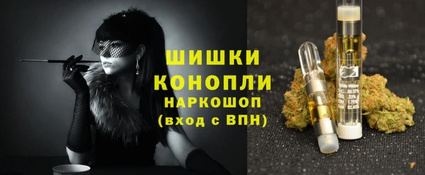 крисы Мегион