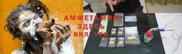 крисы Мегион