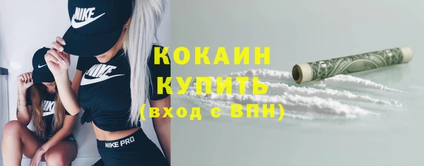 крисы Мегион