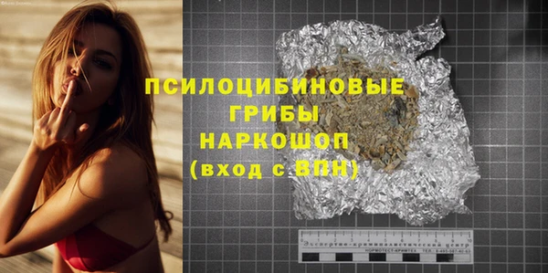 сатива Медногорск
