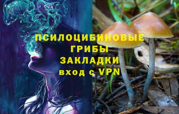 тгк Медвежьегорск