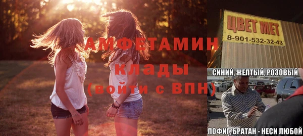 крисы Мегион
