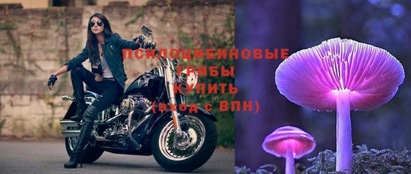 крисы Мегион