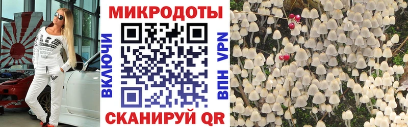 Псилоцибиновые грибы MAGIC MUSHROOMS Энгельс