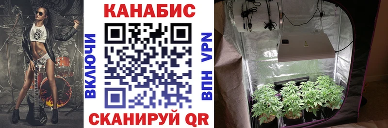 Бошки Шишки OG Kush  Энгельс 